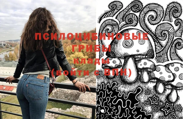 первитин Алексеевка
